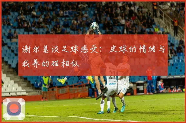 谢尔基谈足球感受：皮球的情绪与我养的猫相似